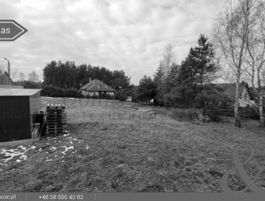 Zdjęcie 15066703