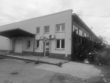 Zdjęcie 15067054