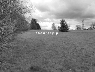 Zdjęcie 15067604