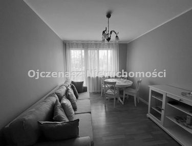 Zdjęcie 15068117
