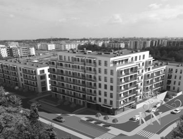 Zdjęcie 15068153
