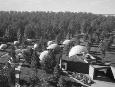 Zdjęcie 15068298
