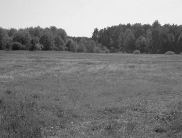 Zdjęcie 15071293