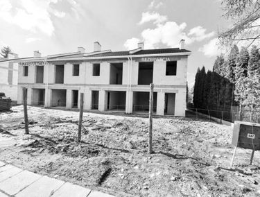 Zdjęcie 15071826