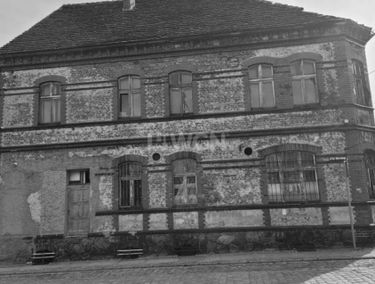 Zdjęcie 15071853