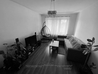 Zdjęcie 15072368
