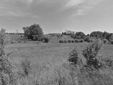 Zdjęcie 15072446