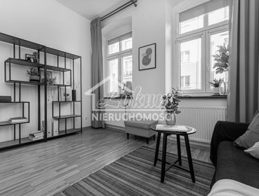 Zdjęcie 15072462