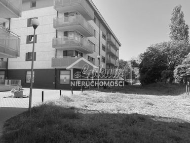 Zdjęcie 15072524