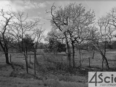 Zdjęcie 15072758