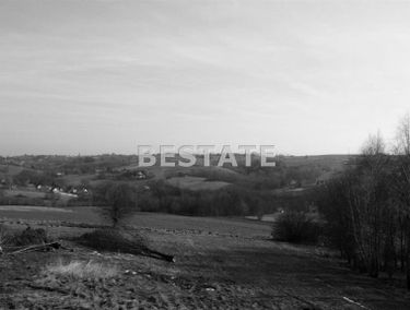 Zdjęcie 15073016