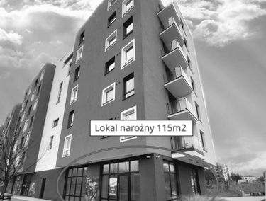 Zdjęcie 15073572