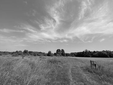 Zdjęcie 15073652