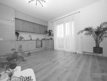 Zdjęcie 15074393