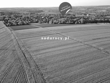 Zdjęcie 15074932