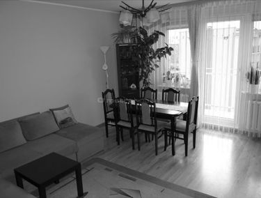 Zdjęcie 15075656