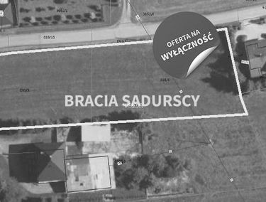 Zdjęcie 15077730