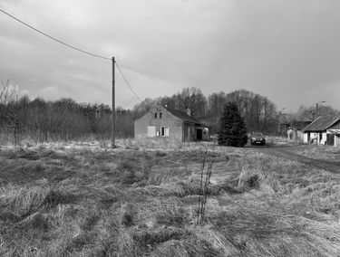 Zdjęcie 15079855