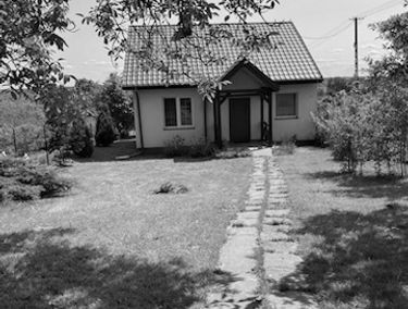 Zdjęcie 15079908