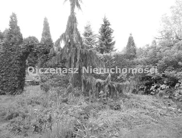 Zdjęcie 15080079