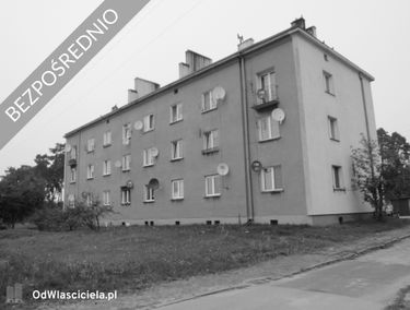 Zdjęcie 15080344