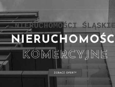 Zdjęcie 15080484