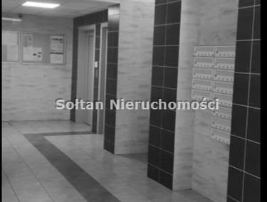 Zdjęcie 15080496