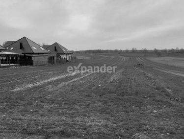 Zdjęcie 15080719