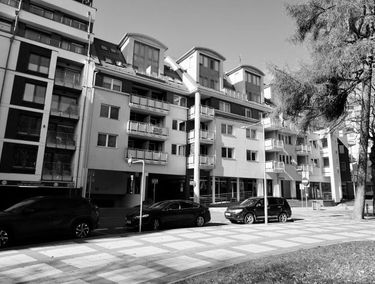 Zdjęcie 15080783