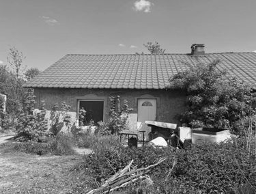 Zdjęcie 15080981