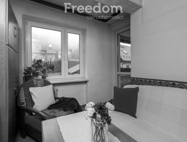 Zdjęcie 15081224