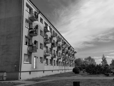 Zdjęcie 15081635