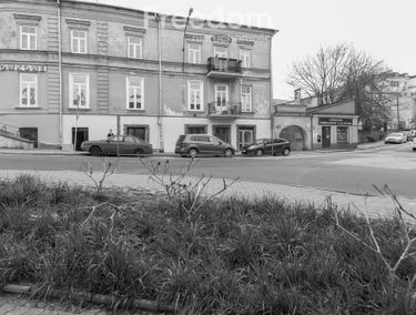 Zdjęcie 15081948