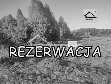 Zdjęcie 15082085