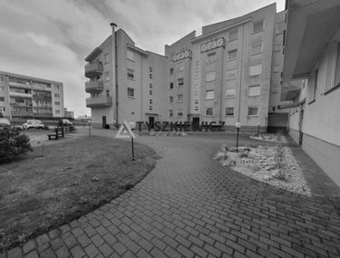 Zdjęcie 15082595