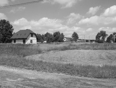 Zdjęcie 15085943