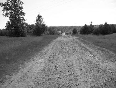 Zdjęcie 15085963