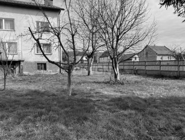 Zdjęcie 15086547