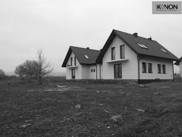 Zdjęcie 15086864