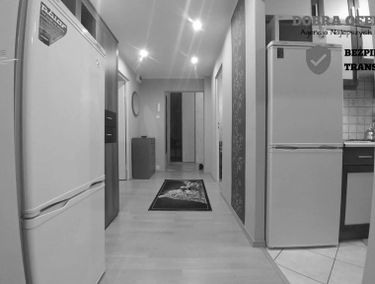Zdjęcie 15086945