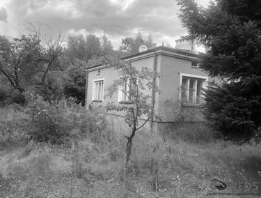 Zdjęcie 15087174