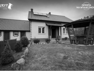 Zdjęcie 15087641
