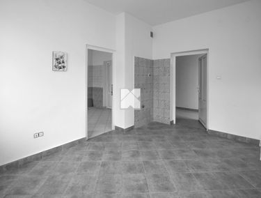 Zdjęcie 15087807