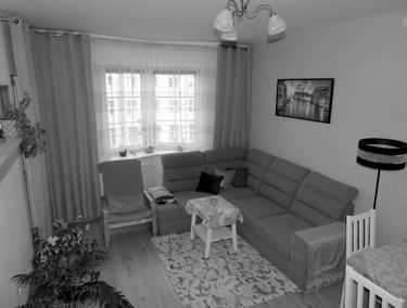 Zdjęcie 15087929