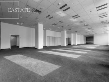 Zdjęcie 15088036