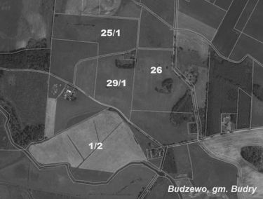 Zdjęcie 15088593