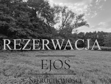 Zdjęcie 15088602