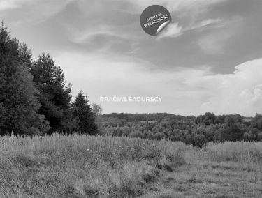Zdjęcie 15089067