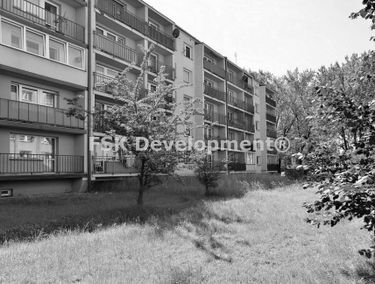 Zdjęcie 15090118