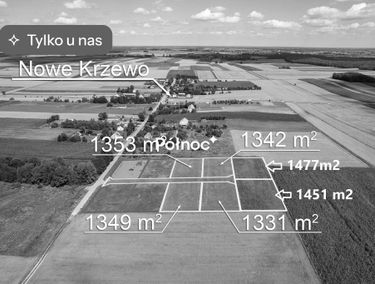 Zdjęcie 15090266
